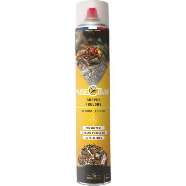 Aérosol guêpes et frelons