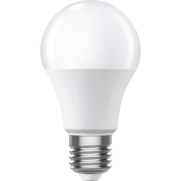 Ampoule GLS LED