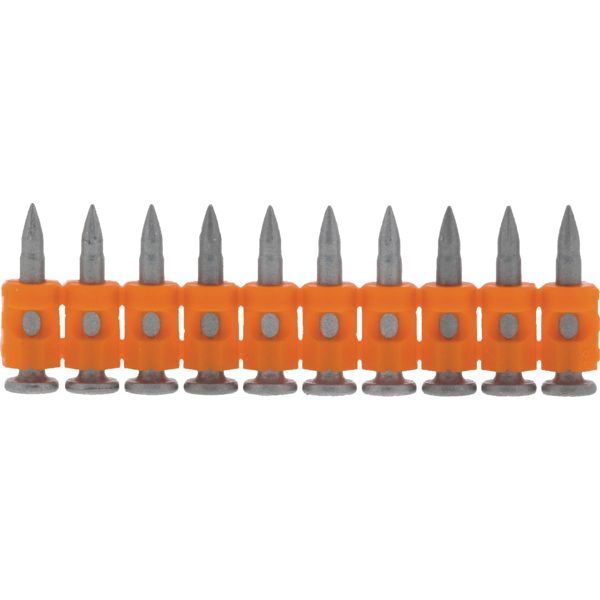 Pack 40P+
